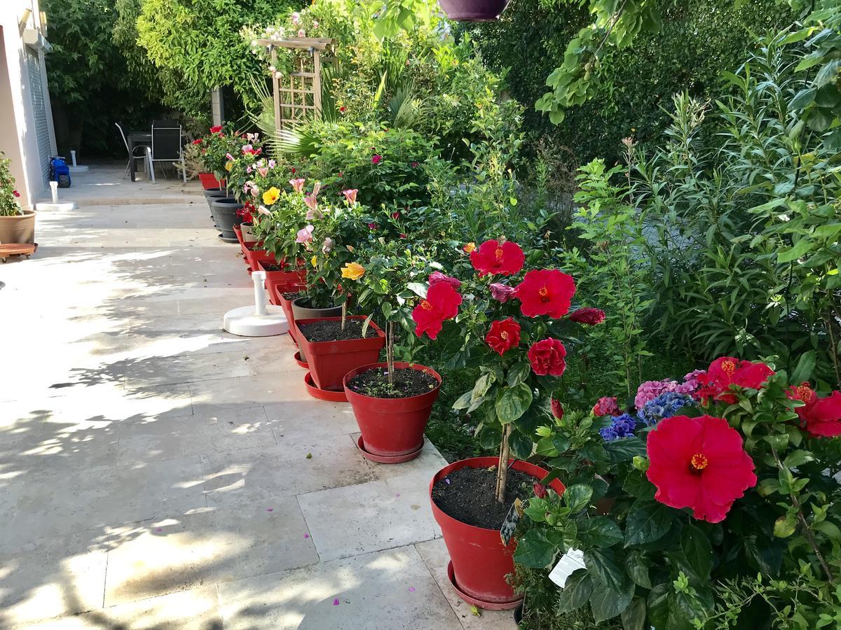 לינה וארוחת בוקר הייר Domaine De L'Aufrene מראה חיצוני תמונה